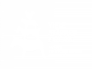 smart insights GmbH | Home